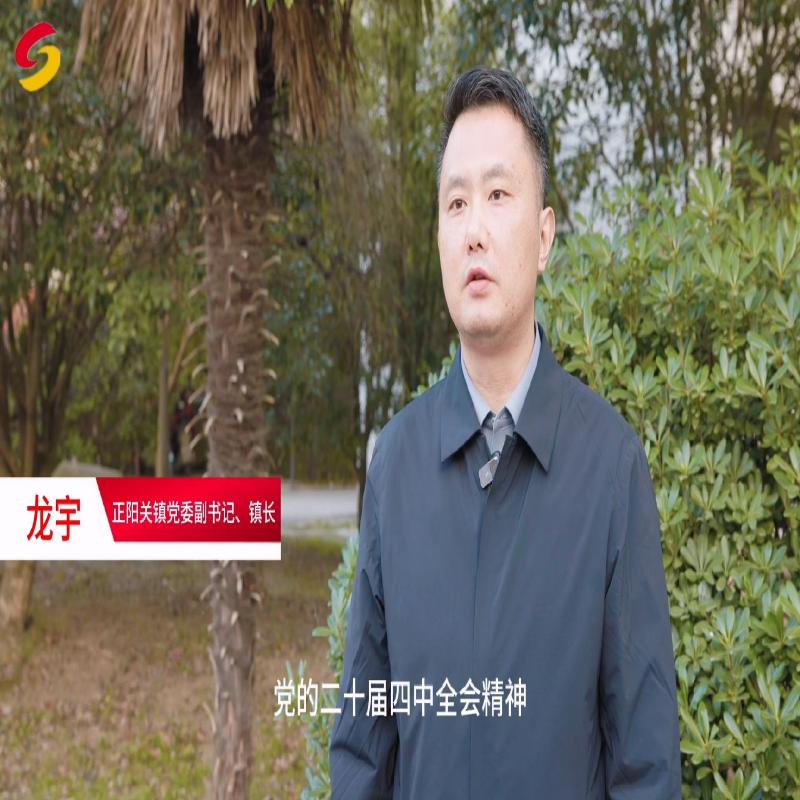 聚焦千年古鎮保護開發 譜寫正陽關文旅融合高質量發展新篇章